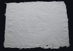 photography copyright begoña muñoz 2012 courtesy from the artist to laimuseum official website all rights reserved