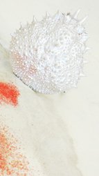 photography copyright begoña muñoz 2012 courtesy from the artist to laimuseum official webiste all rights reserved