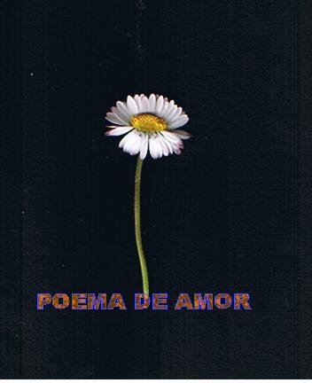 lai museum official website all rights reserved