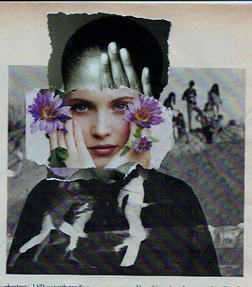 lai museum official website all rights reserved