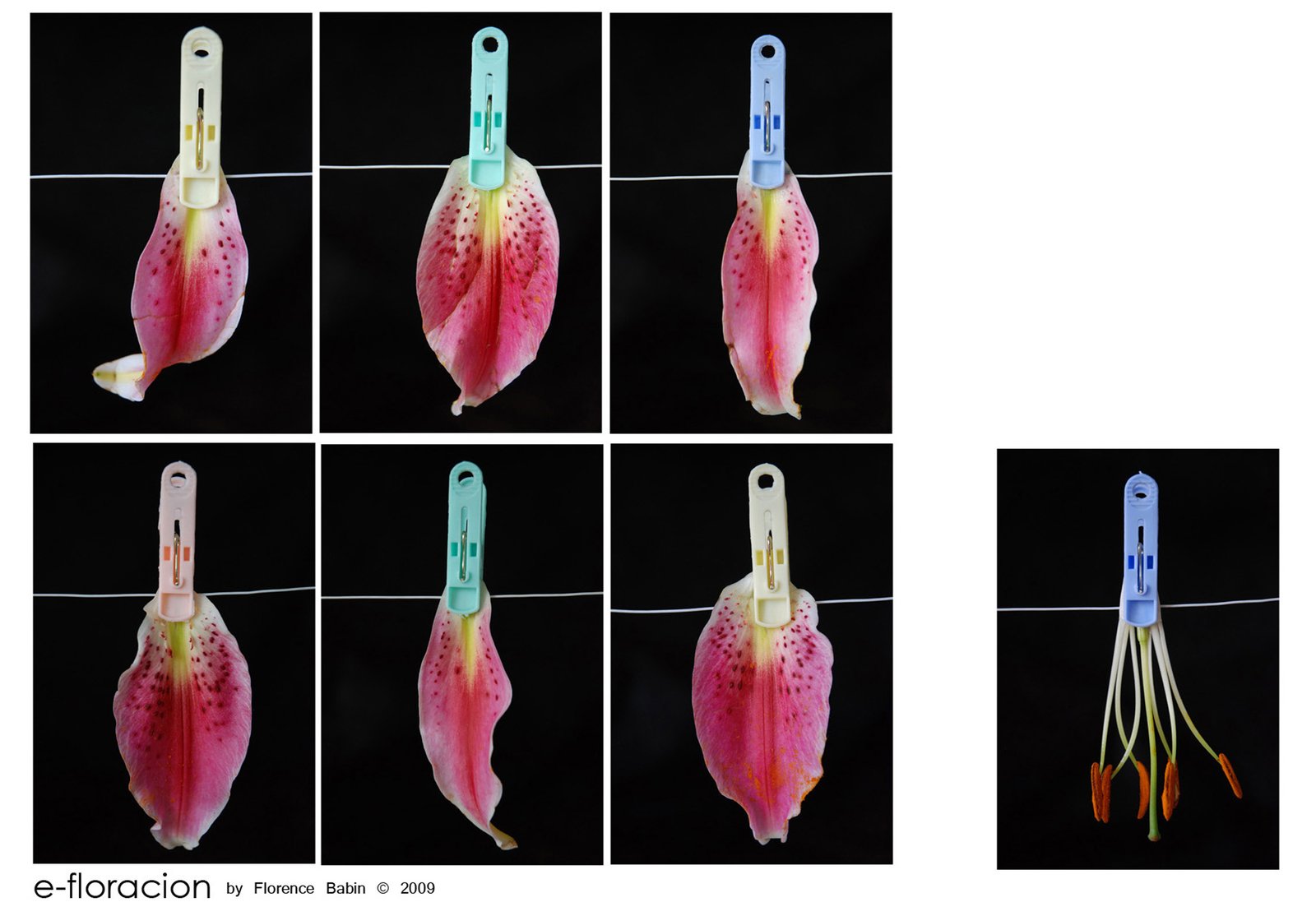 lai museum official website all rights reserved