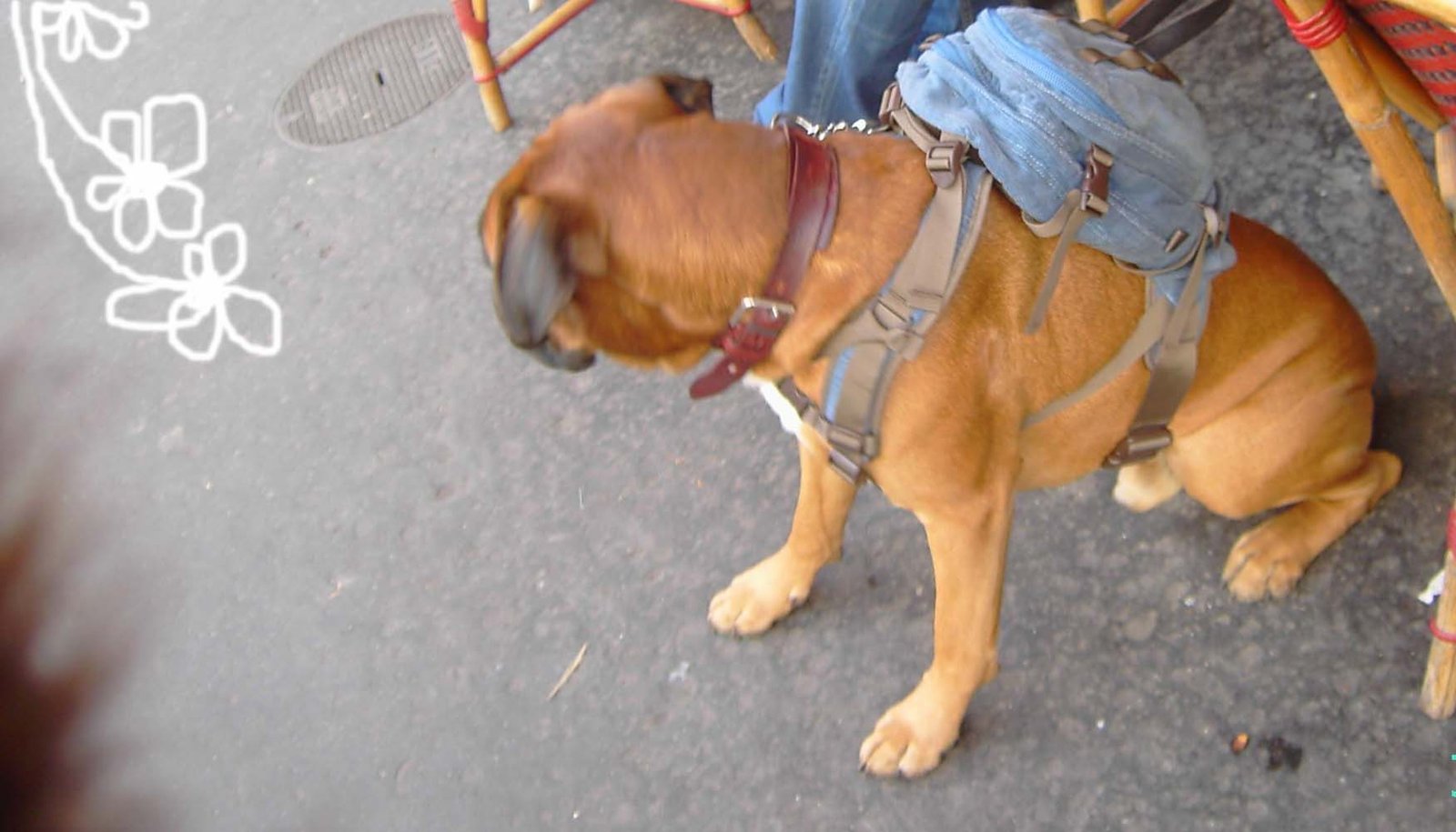 lai museum official website all rights reserved