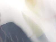 photography copyright bego&ntilde;a mu&ntilde;oz 2008 all rights reserved