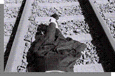 lai museum official website all rights reserved