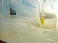 photography copyright begoña muñoz 2009 courtesy from the artist to laimuseum official website all rights reserved