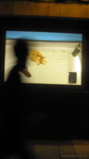 photography copyright begoña muñoz 2010 courtesy from the artist to lai museum all rights reserved