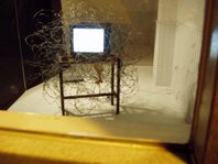 photography copyright begoña muñoz 2008 courtesy from the artist to laimuseum official website all rights reserved