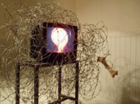 photography copyright begoña muñoz 2008 courtesy from the artist to laimuseum official website all rights reserved