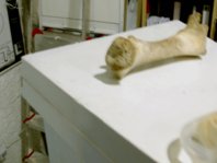 photography copyright begoña muñoz 2008 courtesy from the artist to laimuseum official website all rights reserved