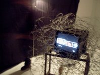 photography copyright begoña muñoz 2008 courtesy from the artist to laimuseum official webiste all rights reserved