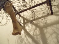 photography copyright begoña muñoz 2008 courtesy from the artist to laimuseum official website all rights reserved