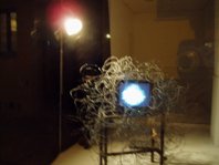 photography copyright begoña muñoz 2008 courtesy from the artist to laimuseum official website all rights reserved