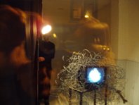 photography copyright begoña muñoz 2008 courtesy from the artist to laimuseum official website all rights reserved