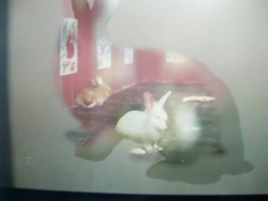 photography copyright begoña muñoz 2007 courtersy from the artist to laimuseum official website all rights reserved