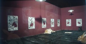photography copyright begoña muñoz 2007 courtesy from the artist to laimuseum official website all rights reserved