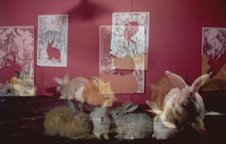 photography copyright begoña muñoz 2007 courtesy from the artist to laimuseum official website all rights reserved