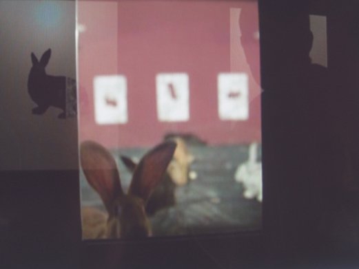 photography copyright begoña muñoz 2007 courtesy from the artist to laimuseum official website all rights reserved