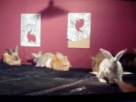 photography copyright begoña muñoz 2007 courtesy from the artist to laimuseum official website all rights reserved