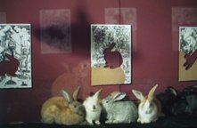 photography copyright begoña muñoz 2007 courtesy from the artist to laimuseum official website all rights reserved