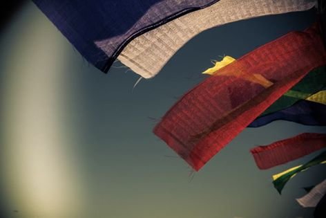 photography copyright lola lopez cozar 2013 courtesy from the artist to laimuseum official website all rights reserved