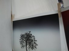 photography copyright begoña muñoz 2013 courtesy from the artist to laimuseum official website all rights reserved