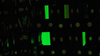 photogrpahy copyright begoña muñoz 2011 courtesy from the artist to lai museum official website all rights reserved