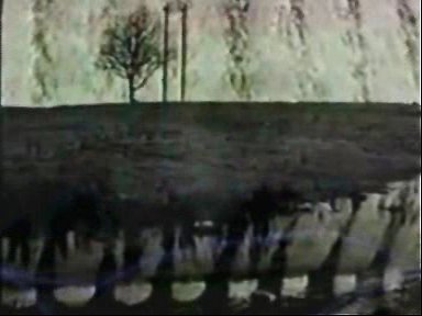 courtesy from jaime rgz to lai museum official website all rights reserved