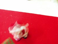 photography copyright begoña muñoz fernandez 2009 courtesy from the artist to laimuseum all rights reserved