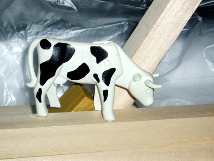 photography copyright bego&ntilde;a mu&ntilde;oz 2006 courtesy from the artist to lai museum all rights reserved