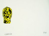 photography copyright bego&ntilde;a mu&ntilde;oz 2008 courtesy from the artist to lai museum all rights reserved