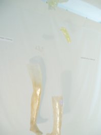 photography copyright bego&ntilde;a mu&ntilde;oz 2008 courtesy from the artist to lai museum all rights reserved