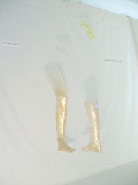 photography copyright bego&ntilde;a mu&ntilde;oz 2008 courtesy from the artist to lai museum all rights reserved