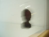 photography copyright bego&ntilde;a mu&ntilde;oz 2008 courtesy from the artist to lai museum official website all rights reserved