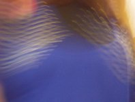 photography copyright begoña muñoz 2009 courtesy from the artist to laimuseum all rights reserved