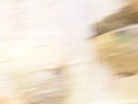 photography copyright begoña muñoz 2009 courtesy from the artist to laimuseum all rights reserved