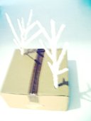 photography copyright bego&ntilde;a mu&ntilde;oz 2007 courtesy from the artist to lai museum official website all rights reserved