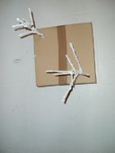 photography copyright bego&ntilde;a mu&ntilde;oz 2007 courtesy from the artist to lai museum official website all rights reserved