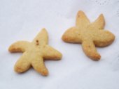 photography copyright bego&ntilde;a mu&ntilde;oz 2007 courtesy from the artist to lai musuem official website all rights reserved