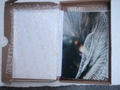 photography copyright bego&ntilde;a mu&ntilde;oz 2007 courtesy from the artist to lai museum official website all rights reserved