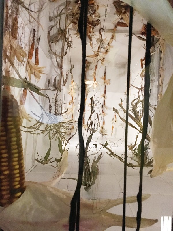 photography copyright begoña muñoz 2018 all rights reserved